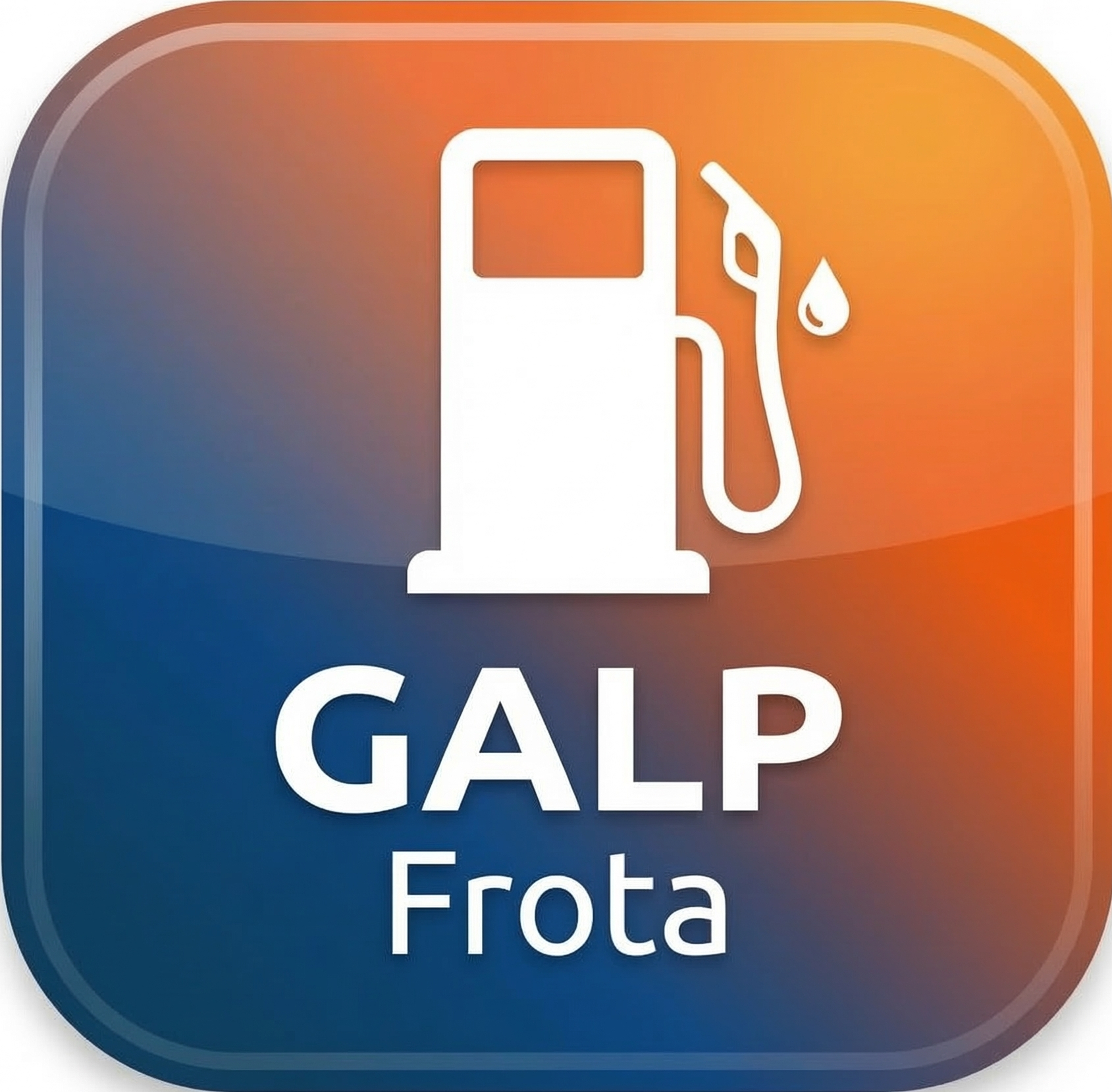 GALP Frota